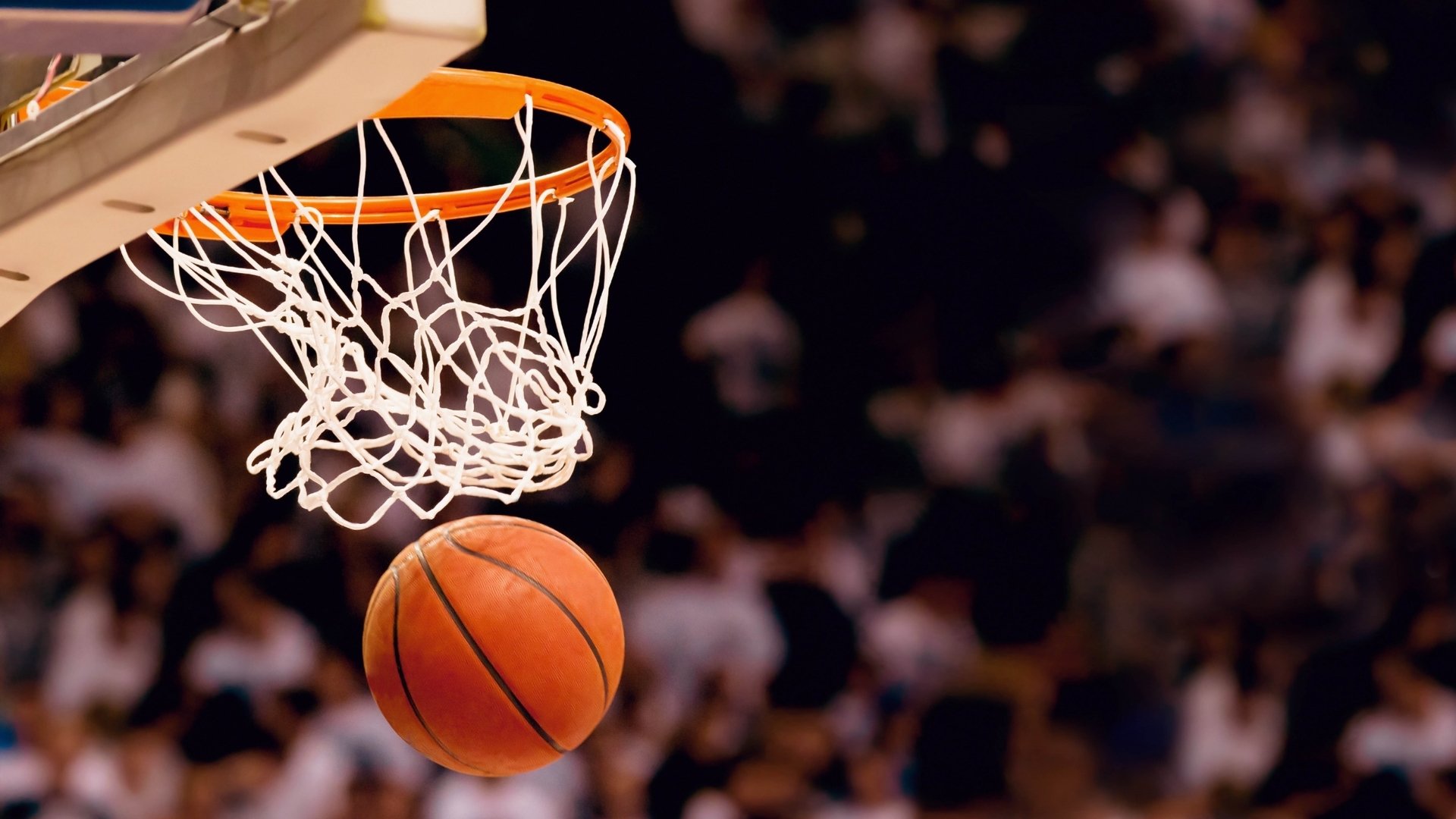 体坛风云突变，猛龙复出引爆常规赛，埃因霍温更衣室发声惊扰NBA总决赛，阿贾克斯止颓瞬间刷屏